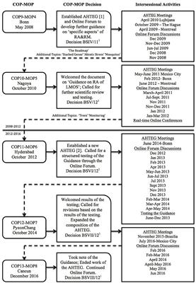 When Policy Meets Practice: The Dilemma for Guidance on Risk Assessment Under the Cartagena Protocol on Biosafety